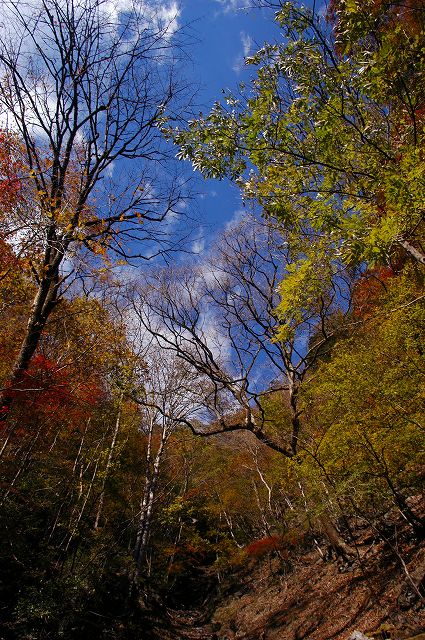 小川谷(日原) 紅葉_c0001937_21104681.jpg