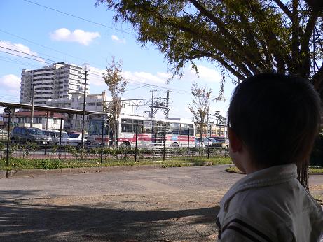 貝塚公園（福岡県福岡市東区）_c0099967_133385.jpg