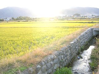 a0016177_10322769.jpg