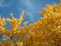 a0027277_0575328.jpg
