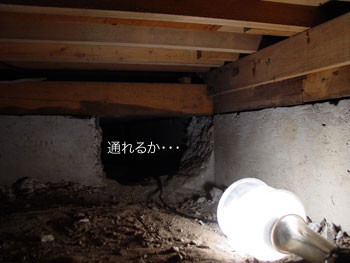 家の診断_d0031378_14475731.jpg