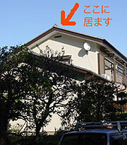 家の診断_d0031378_14545183.jpg