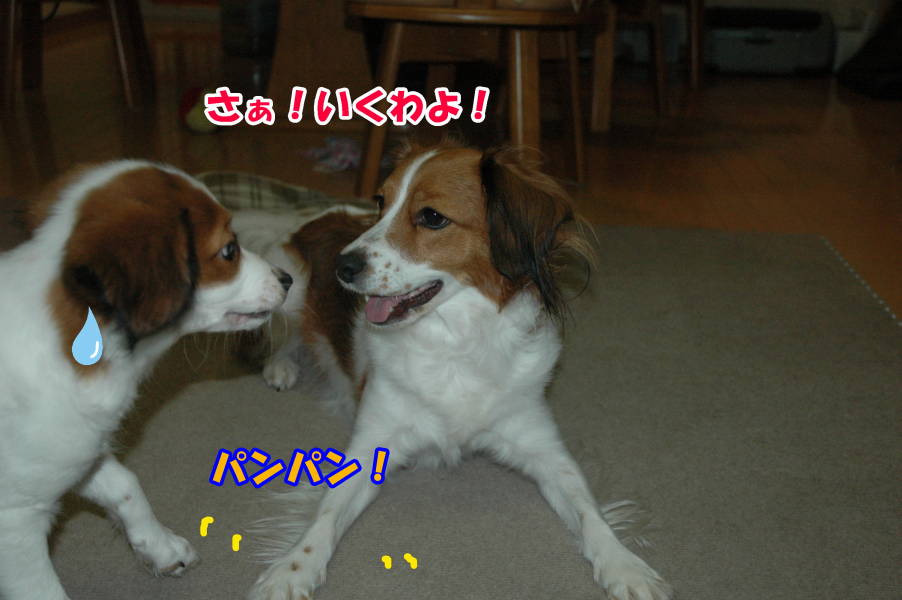 c0075585_740368.jpg