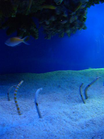 f0089386_0452976.jpg