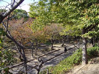 京橋・桜ノ宮・塚口という異なる３つの目的地☆関西ひとり旅３☆_e0039787_1724288.jpg