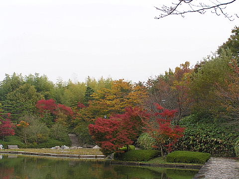 びわこ文化公園_c0009190_22355159.jpg