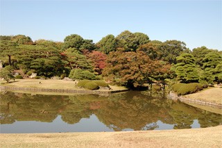 六義園・１ 紅い落葉ひとひら_d0024291_22253148.jpg