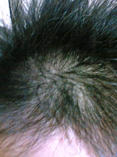f0065199_19591315.jpg