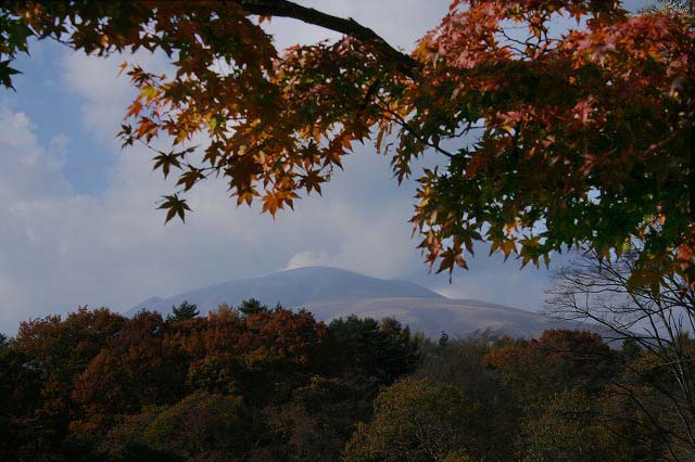 浅間山　そして　白鳥_b0058608_711394.jpg