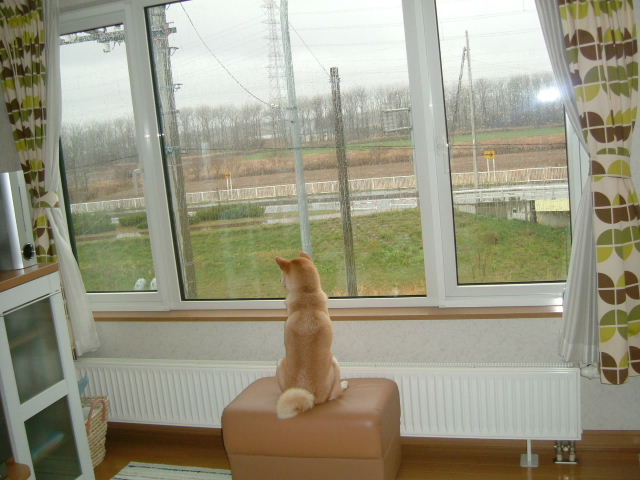 e0090110_955116.jpg