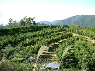 e0101917_19203170.jpg