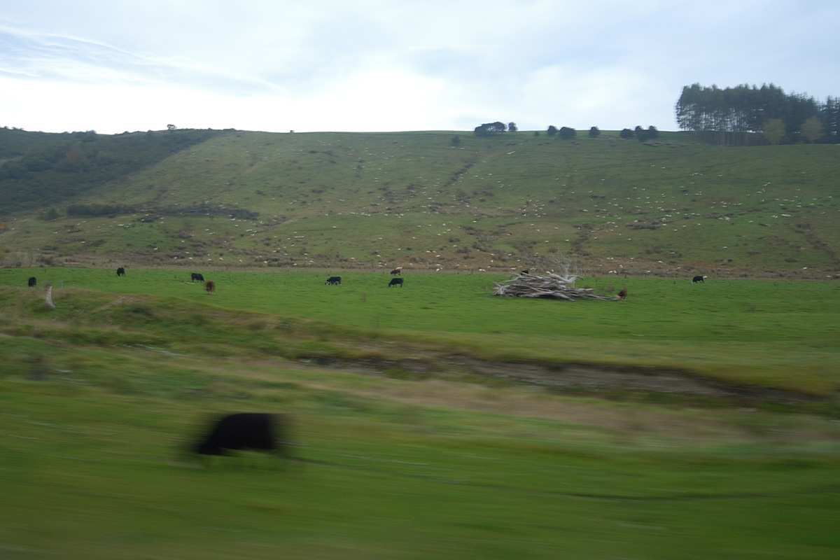 d0073620_051184.jpg