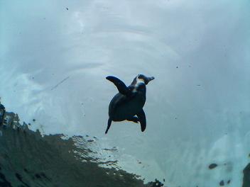 f0053734_2364444.jpg