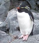 f0053734_2584233.jpg