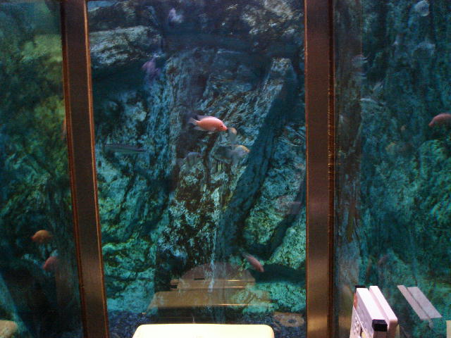 c0016642_19112465.jpg