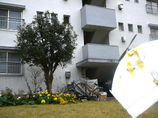 トラタヌ AFO テスト飛行_d0067943_1324398.jpg