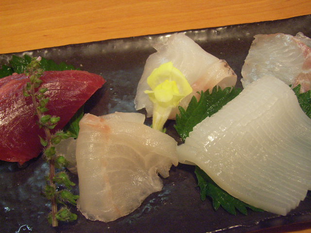 11月16日(木) これはマグロ? カツオ・・?_d0082944_13363739.jpg