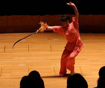 【第二回 中国武術演武会】 NO.2 _a0039748_1014614.jpg