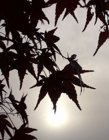 b0015260_8355884.jpg