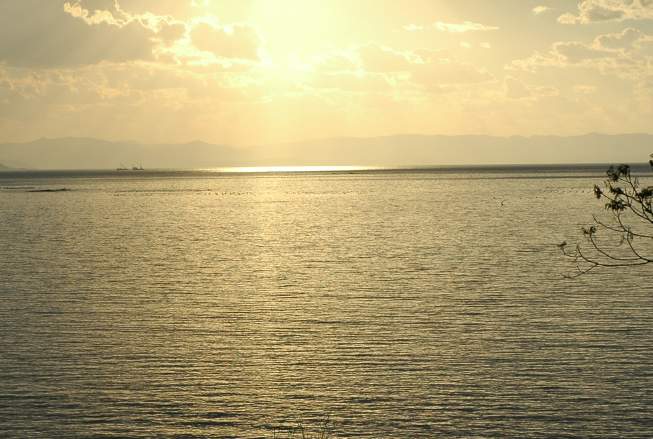 b0056282_105033.jpg