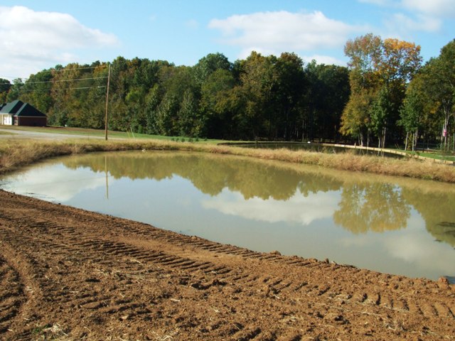 c0062603_160067.jpg