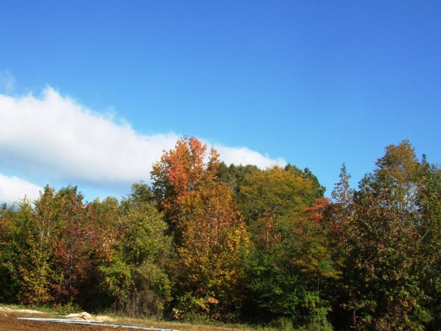 c0062603_1603690.jpg