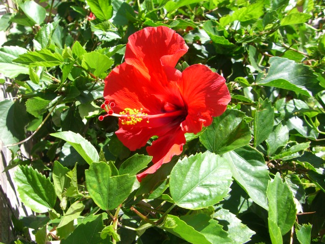 a0088007_12331100.jpg