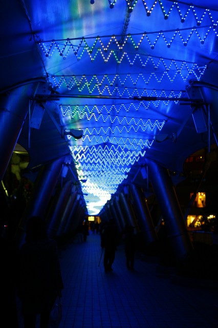 c0071611_1044028.jpg