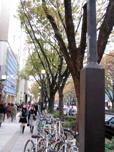 e0103211_2164349.jpg