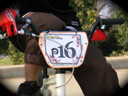 プロジェクト16VOL69 JBMXF ジャパンシリーズ 最終戦大阪PITBIKE レース_b0065730_10152944.jpg