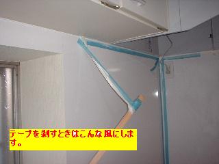 f0031037_2061853.jpg