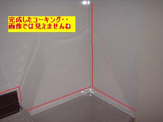 f0031037_2062947.jpg