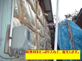 f0031037_2072090.jpg