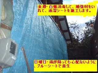 f0031037_2072979.jpg