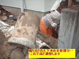 f0031037_208856.jpg