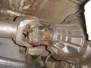 e0023741_059561.jpg