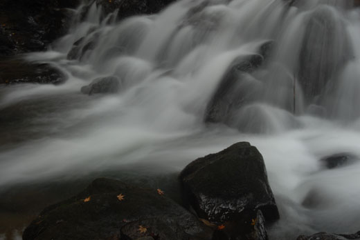 c0093046_16534196.jpg