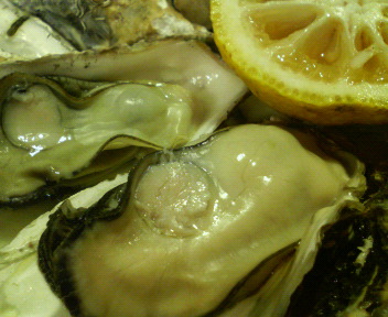 f0088647_1042080.jpg