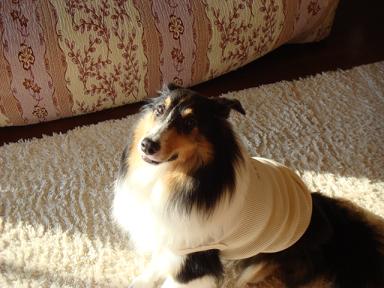 f0046854_2010967.jpg