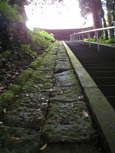 a0017161_15324889.jpg