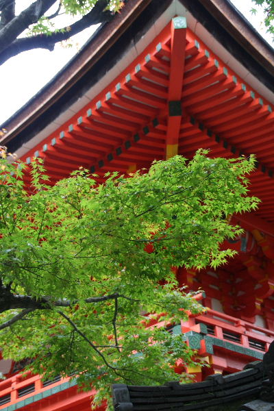 湖国の紅葉1　琵琶湖疏水～長等神社_b0055171_16541616.jpg