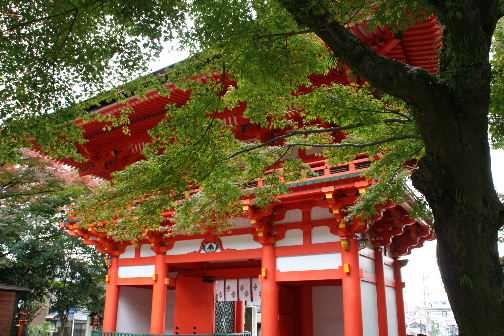 湖国の紅葉1　琵琶湖疏水～長等神社_b0055171_16543784.jpg