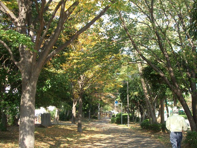 週末徐走的行程図_c0002498_21224211.jpg