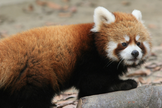 ユウタのアルバム_b0016600_3171033.jpg