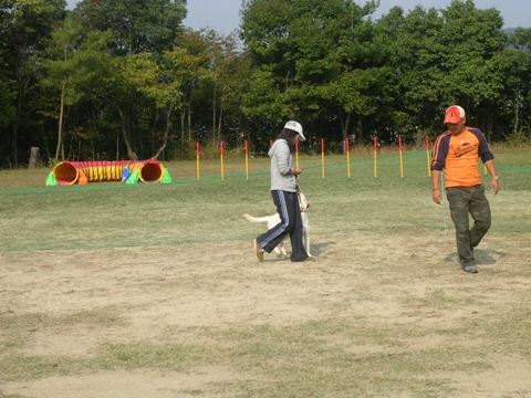 d0091700_14235139.jpg