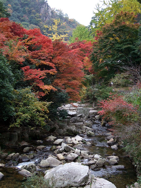 c0067303_203464.jpg