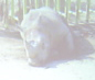 c0052304_941434.jpg