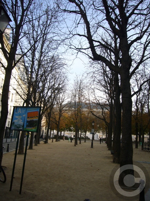 ■街角の公園Place Dauphine（パリ）_a0008105_7312932.jpg