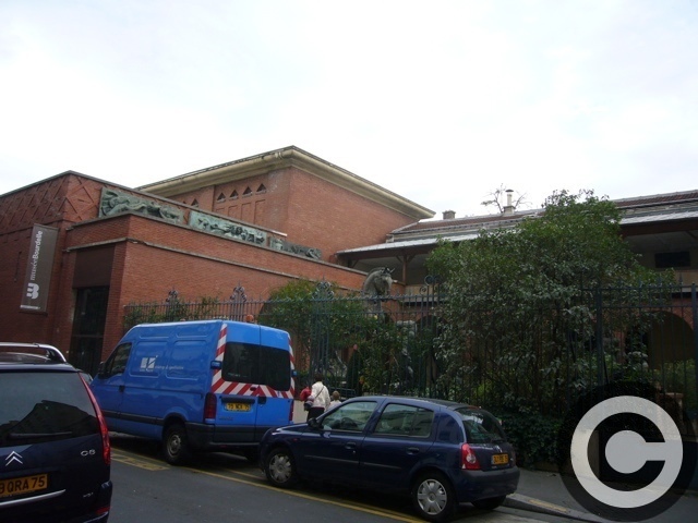a0008105_8151949.jpg