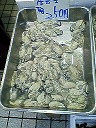 e0028505_72126100.jpg